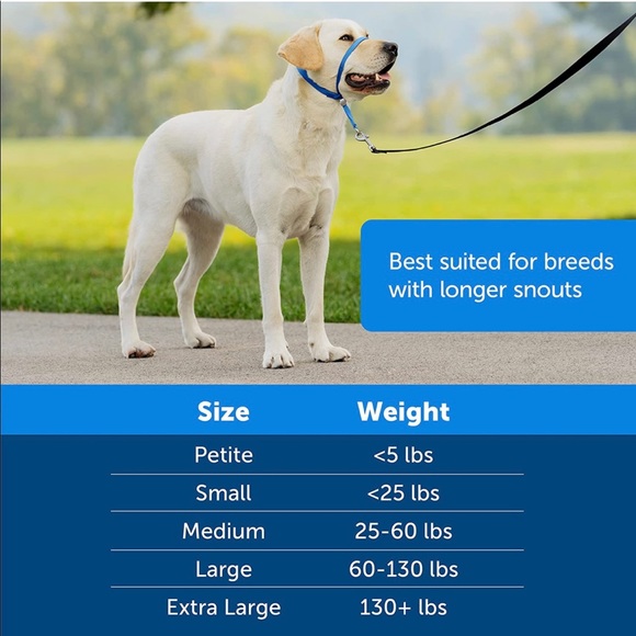 PetSafe gentle Leader headcollar - Picture 3 of 7